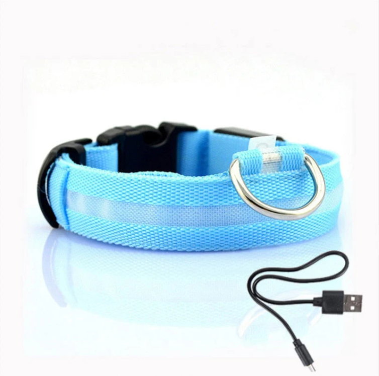 Leuchtendes LED Halsband für Hunde. Modernes Design und hohe Sichtbarkeit machen jeden Spaziergang sicherer und stylischer.