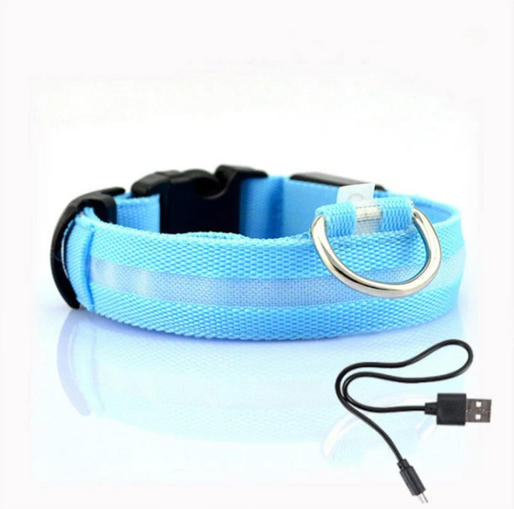 Leuchtendes LED Halsband für Hunde. Modernes Design und hohe Sichtbarkeit machen jeden Spaziergang sicherer und stylischer.
