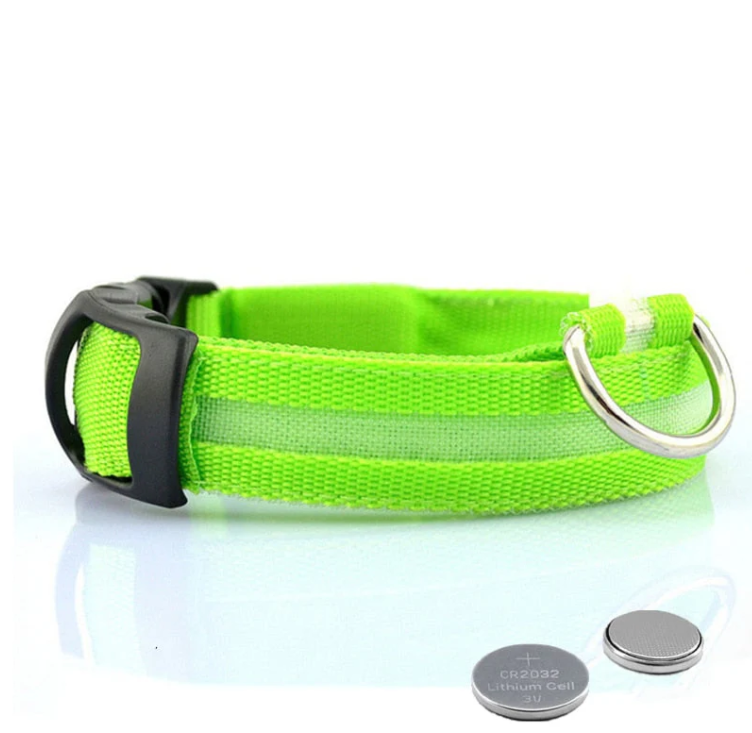 Robustes, wiederaufladbares LED Hundehalsband für optimale Sicherheit und Style bei Nacht und schlechtem Wetter.