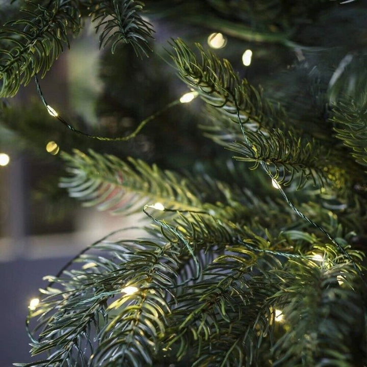 LED Lichterkette um Baum gewickelt, festliche Außenbeleuchtung im Garten, ideal für weihnachtliche Dekoration.