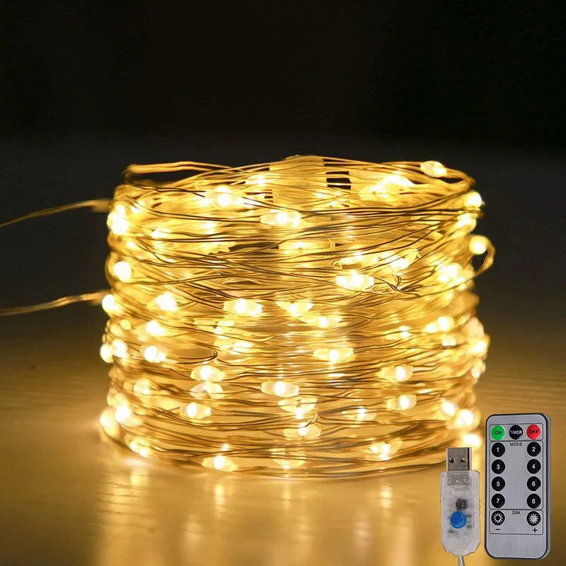 LED Lichterkette warmweiß, dimmbar & wetterfest. Ideal für Weihnachtsdekoration innen & außen.