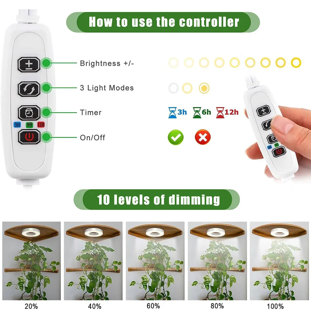 Gesunde Zimmerpflanzen dank dimmbarer Vollspektrum LED Pflanzenbeleuchtung für Innenbereich.