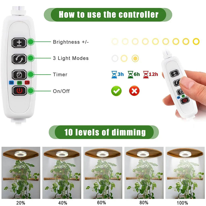 Gesunde Zimmerpflanzen dank dimmbarer Vollspektrum LED Pflanzenbeleuchtung für Innenbereich.