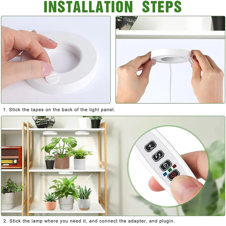 Dimmbare Vollspektrum LED Pflanzenlampe mit Timer, ideal für Zimmerpflanzen und Innenbereich.