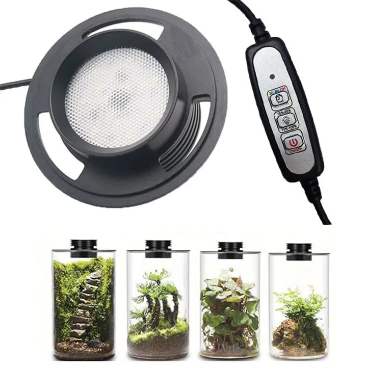 Dimmbare LED Pflanzenlampe Vollspektrum mit Timerfunktion für gesunde Zimmerpflanzen und Setzlinge.