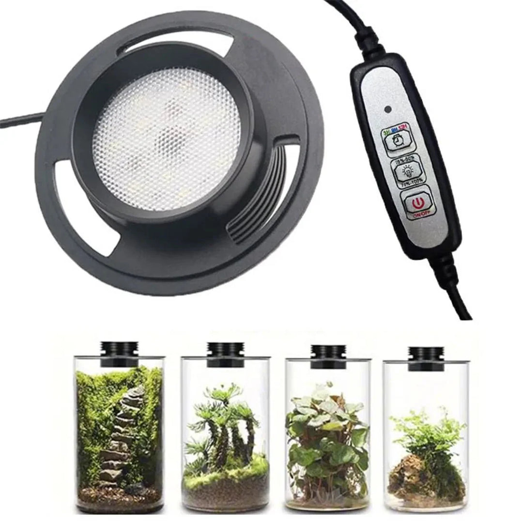 Dimmbare LED Wachstumslampe Vollspektrum für Zimmerpflanzen. Mit Timer für Pflanzenzucht & gesundes Wachstum.