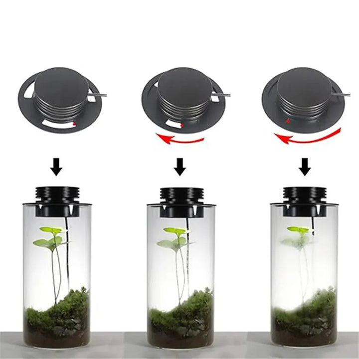 USB-betriebenes Vollspektrum Pflanzenlicht für kräftiges Wachstum in Terrarien & mit Timer.