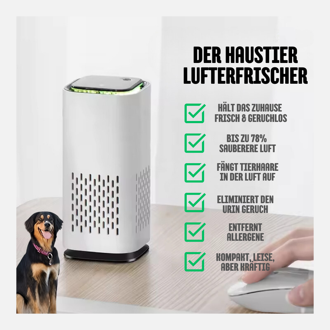 Leiser Haustier-Luftreiniger im Auto, entfernt Tiergerüche für frische, saubere Luft während der Fahrt.
