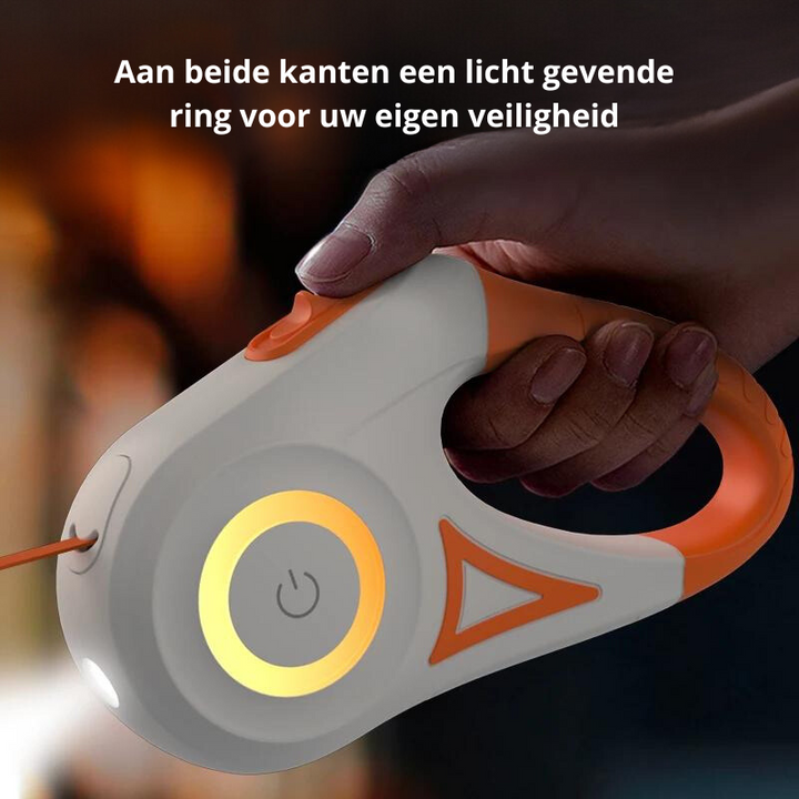 Grüne, reflektierende LED-Hundeleine mit Taschenlampe. Ideal für sichere Nachtspaziergänge mit dem Hund.