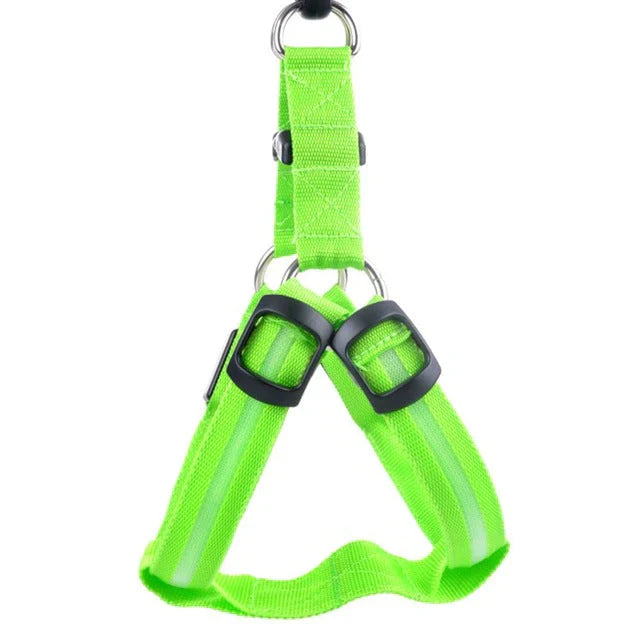 Innovatives Hundegeschirr mit integrierten LED-Leuchten für maximale Sicherheit und Sichtbarkeit nachts.