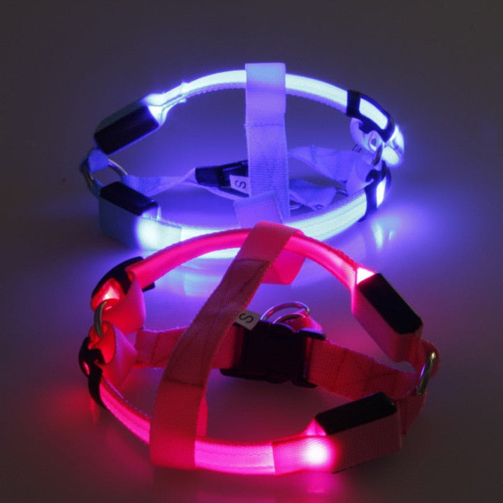 Sicheres LED-Hundegeschirr für Nachtspaziergänge. Leuchtend, reflektierend. Unverzichtbares Hundezubehör.