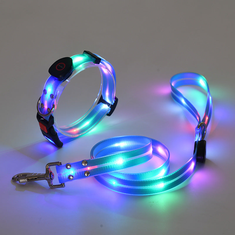Leuchtendes LED-Hundehalsband & Leine für sichere Nachtspaziergänge, hohe Sichtbarkeit für Hunde.