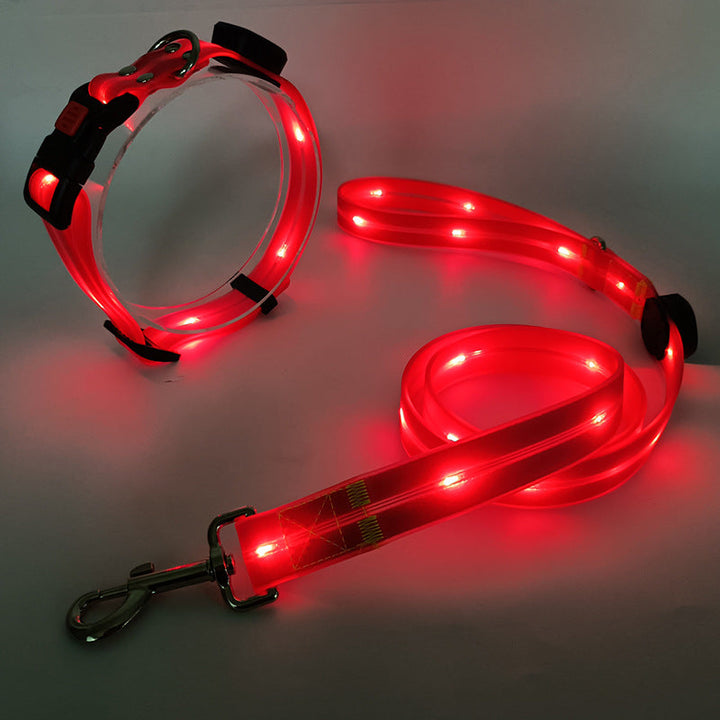 Hund mit leuchtendem LED-Halsband & Leine für sichere Outdoor-Spaziergänge im Dunkeln.