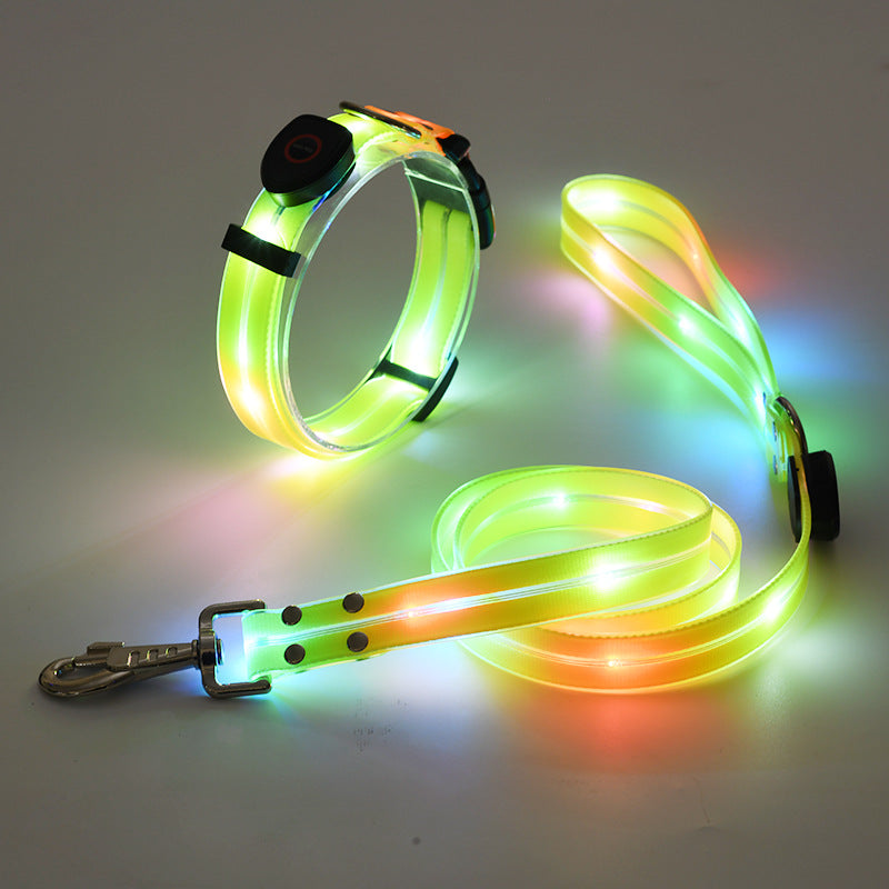 Verstellbares LED-Hundehalsband & Leine, leuchtend für erhöhte Sicherheit und Sichtbarkeit.
