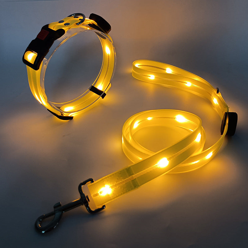 Nahaufnahme: Leuchtendes LED-Hundehalsband, verstellbar, für maximale Sichtbarkeit und Hundesicherheit.