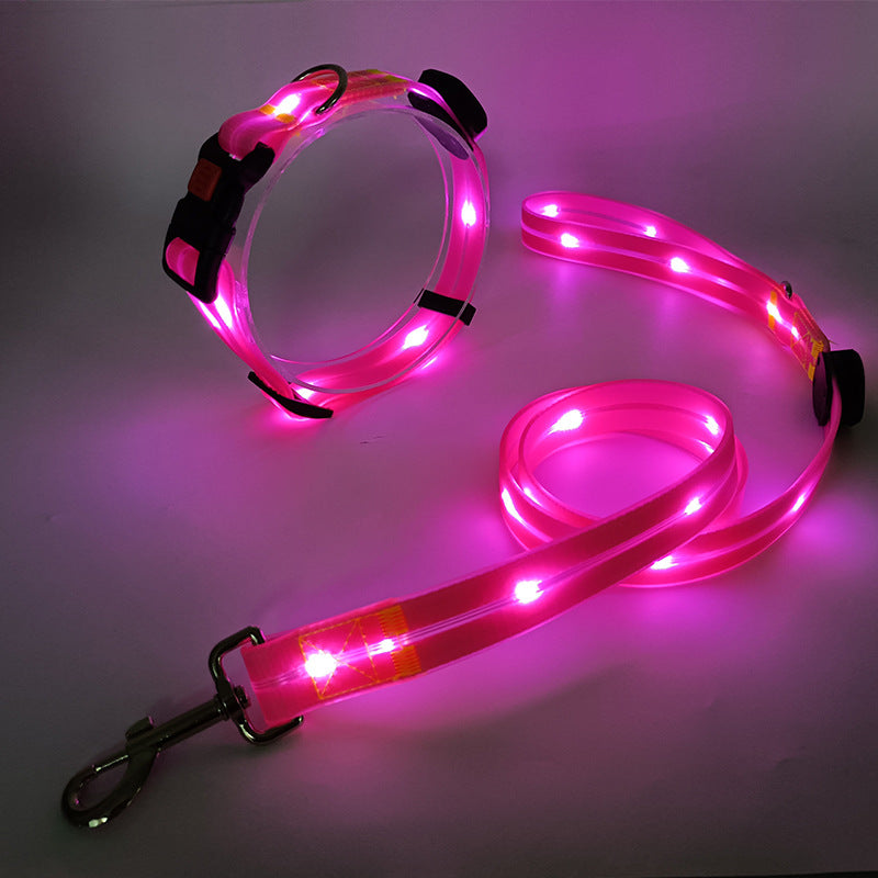 Leuchtende LED-Hundleine, passend zum Halsband, für sichere Nachtspaziergänge & hohe Sichtbarkeit.