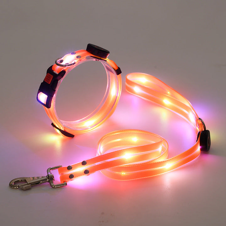 Set: Sicheres LED-Hundehalsband & Leine. Leuchtend für maximale Sichtbarkeit und Hundesicherheit.