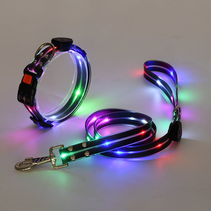 Maximal sichtbares LED-Hundehalsband & Leine für sichere Spaziergänge in der Dämmerung und Nacht.