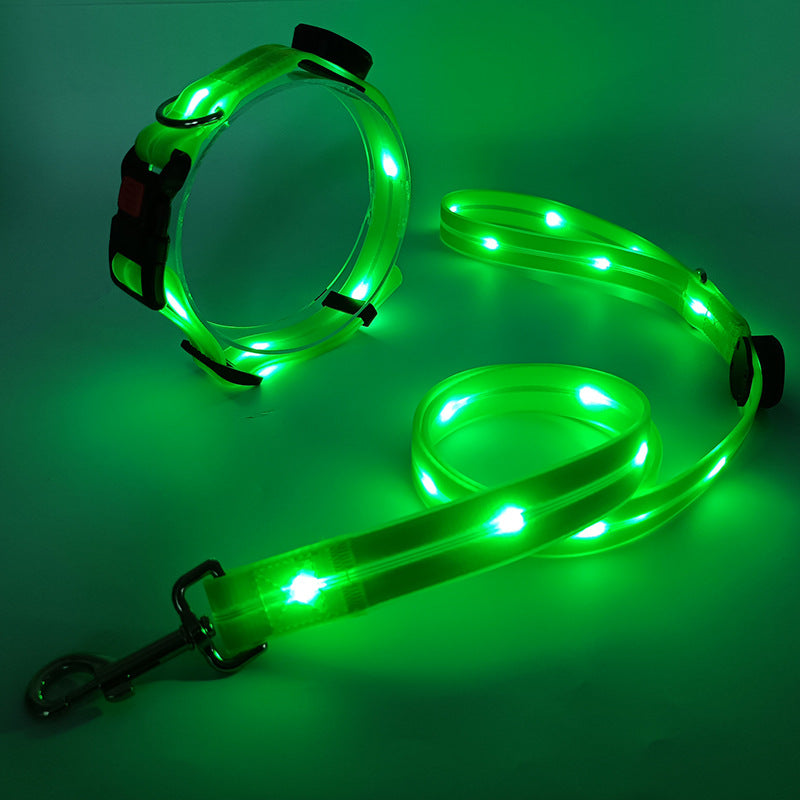 Robustes, leuchtendes LED-Hundehalsband & Leine, wetterfest für Outdoor-Hunde. Hohe Sicherheit.