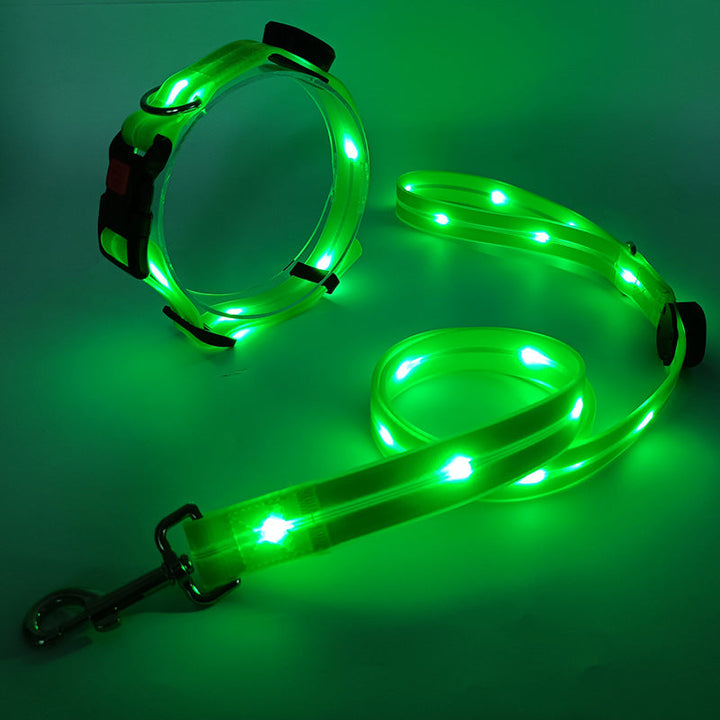 Robustes, leuchtendes LED-Hundehalsband & Leine, wetterfest für Outdoor-Hunde. Hohe Sicherheit.