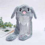 Grau Kaninchen