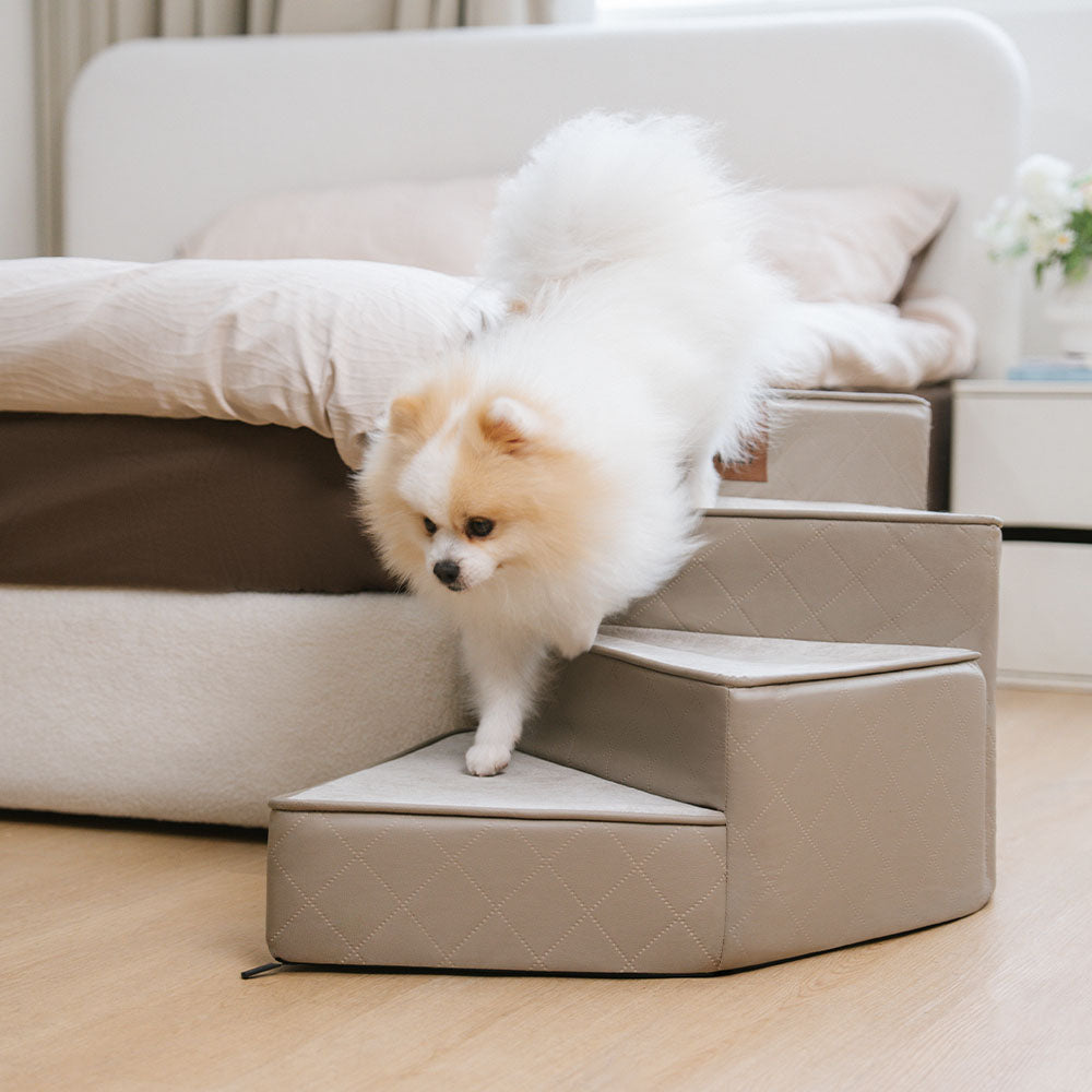 Haustierrampe aus Kunstleder für kleine Hunde & Katzen, gelenkschonend & stabil.