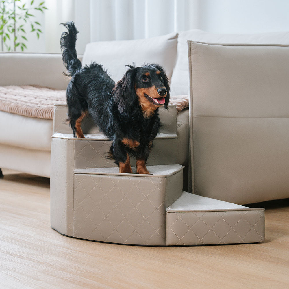 Modische Kunstleder Hundetreppe, spiralform, passt zu jedem Interieur.