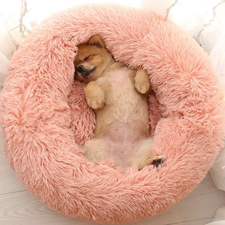 Kuscheliges Plüschbett für Hunde mit Gelenkstütze, waschbar & ideal für tiefe Entspannung Ihres Haustieres.