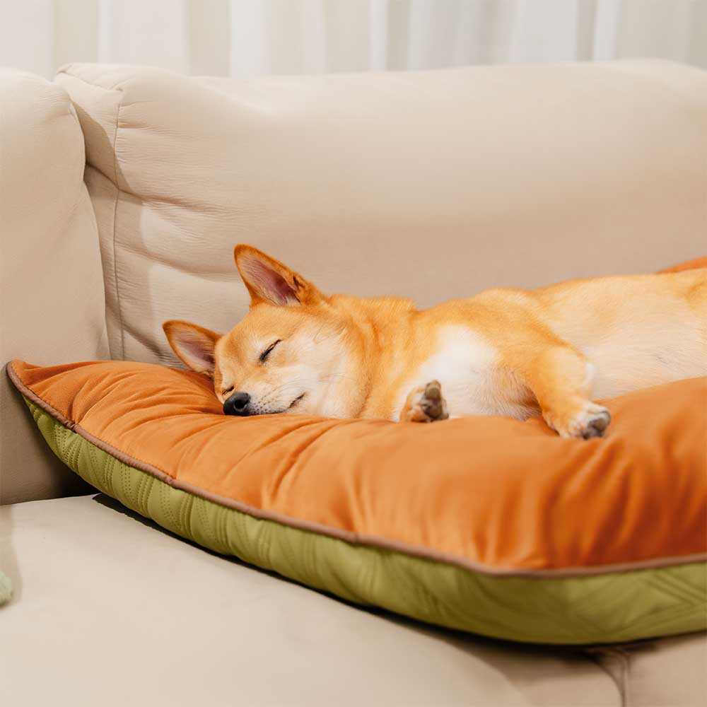 Extra weiche, luxuriöse Hundematte, wasserabweisend & beidseitig beruhigend. Das ideale Hundebett.