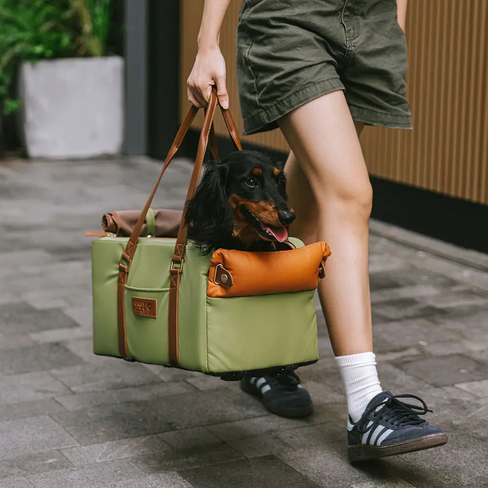 Eleganter Hundesitz aus Kunstleder für die Mittelkonsole, bietet Sicherheit beim Autofahren für kleine Hunde.
