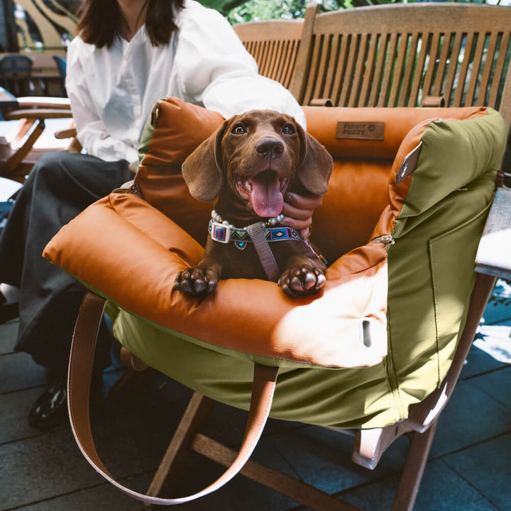 Stilvolles Hundebett fürs Auto: Bequem, robust und pflegeleicht für entspannte Reisen.