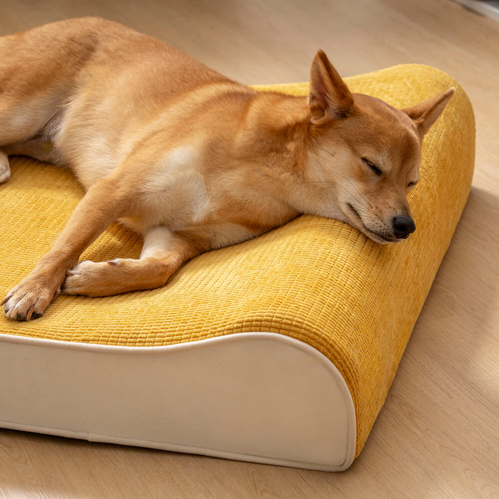 Bequemes orthopädisches Hundebett für Hunde mit Gelenkproblemen; wasserdicht für leichte Pflege & Hygiene.