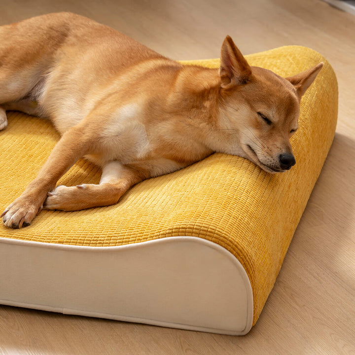 Bequemes orthopädisches Hundebett für Hunde mit Gelenkproblemen; wasserdicht für leichte Pflege & Hygiene.
