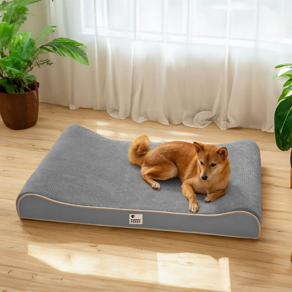 Pflegeleichtes, wasserdichtes Hundebett mit abnehmbarem Bezug. Optimaler Schlafplatz für jeden Hund.
