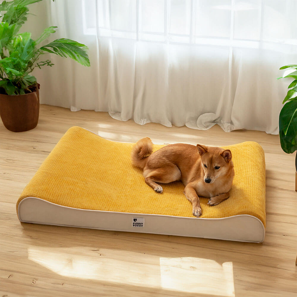 Glücklicher Hund entspannt auf seinem luxuriösen, wasserdichten & orthopädischen Hundebett. Perfekter Schlafplatz.