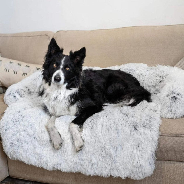 Ultimative Entspannung im PawLounge Hundesofa dunkelgrau, ein luxuriöses Plüschbett für ruhigen Schlaf.