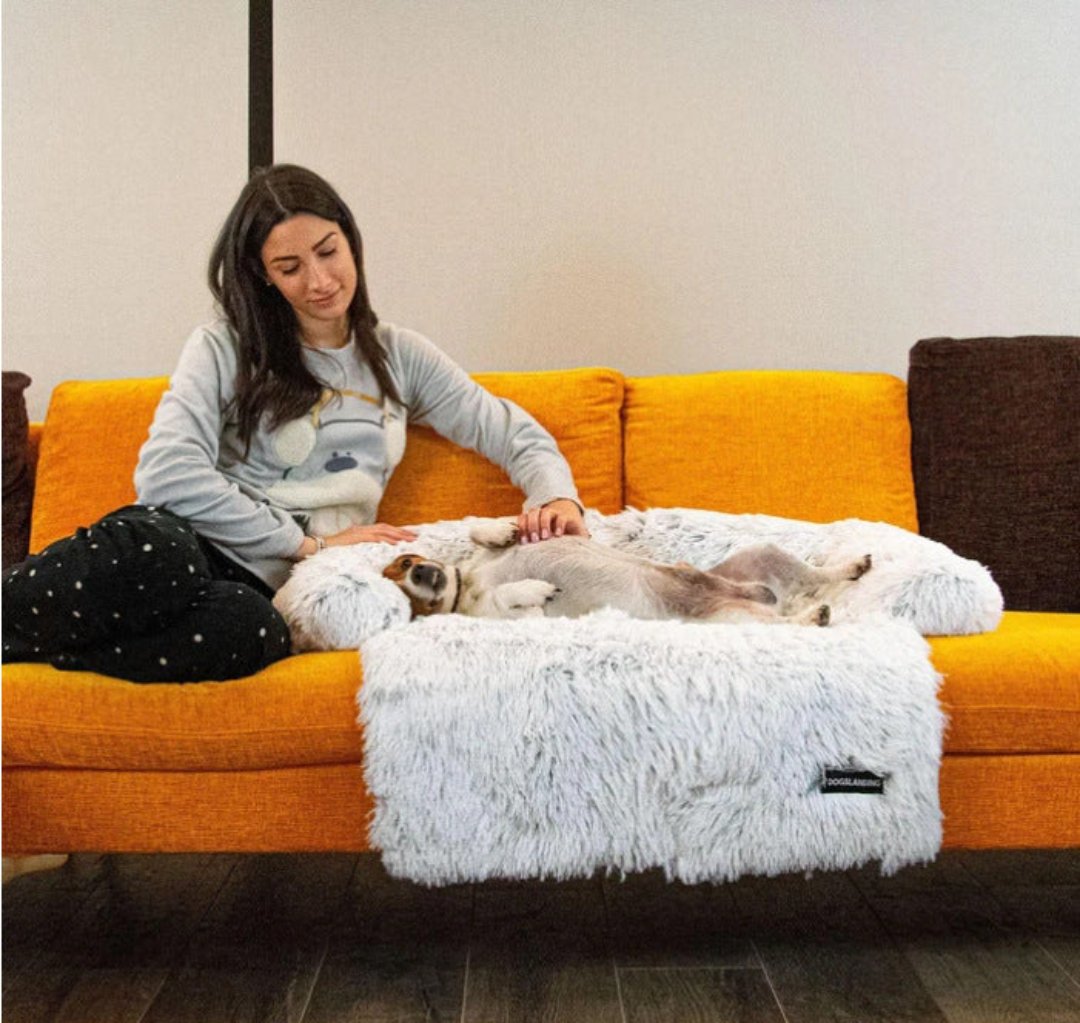 Komfortables PawLounge Hundebett beige, waschbares Tierbett für entspannte Haustiere.