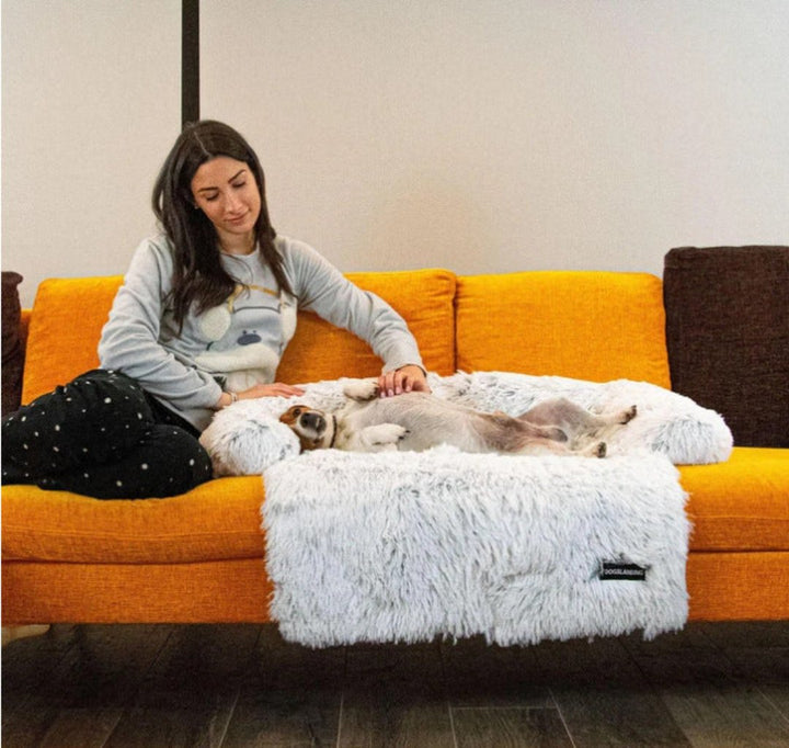 Komfortables PawLounge Hundebett beige, waschbares Tierbett für entspannte Haustiere.
