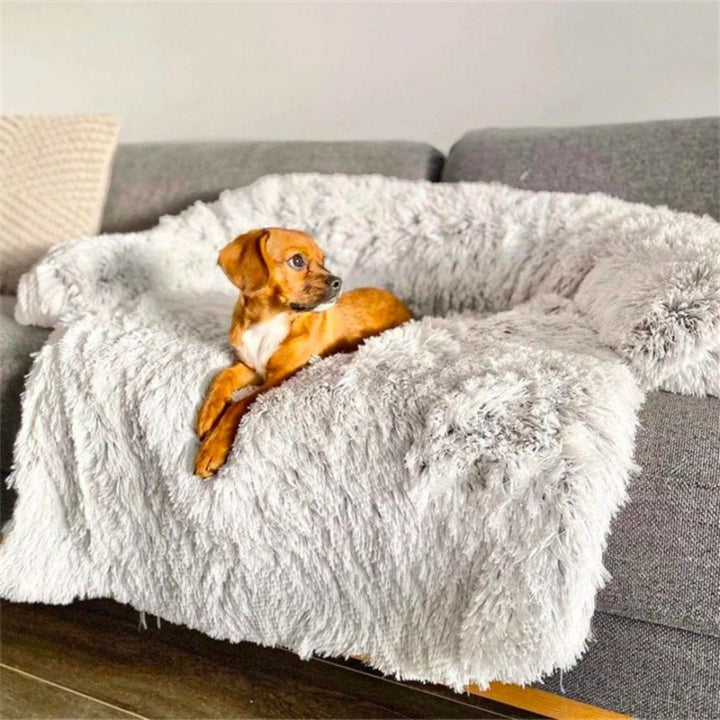 Waschbares PawLounge Hundesofa grau, leicht zu reinigendes Plüschbett für Hygiene & Haustier-Komfort.