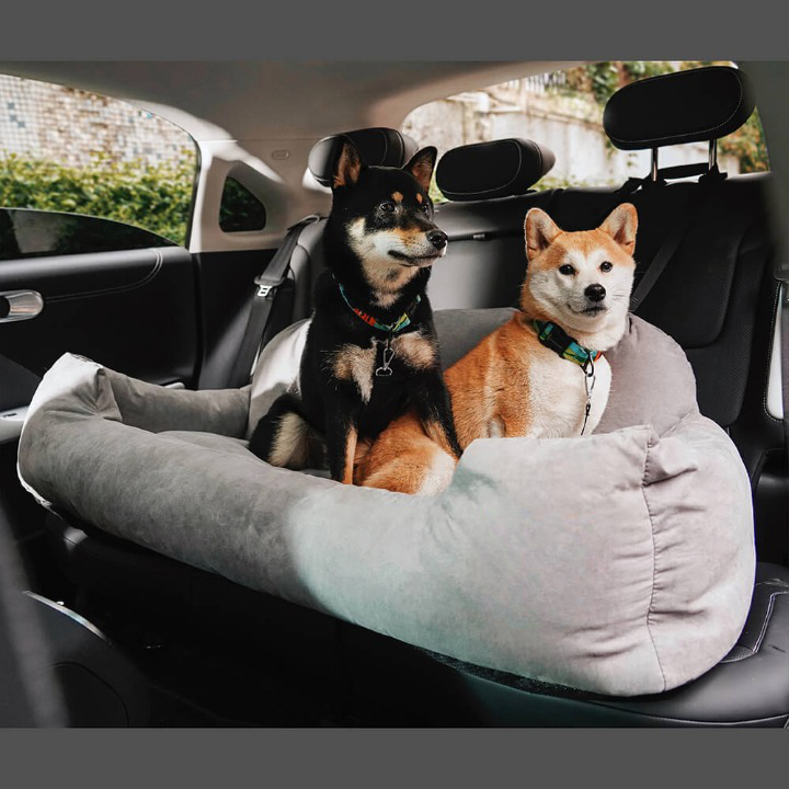 Hund im PawsRest Autoreisebett. Sicheres, luxuriöses Hundebett für stressfreie Autofahrten & gemütliche Pausen.
