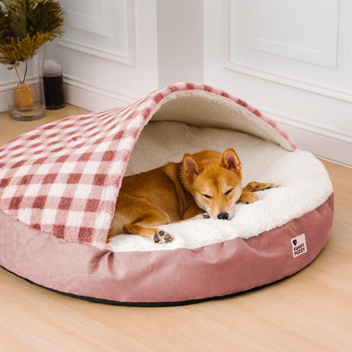 Elegantes Hundebett mit Baldachin, Plüsch-Oase für süße Haustierträume und Entspannung.
