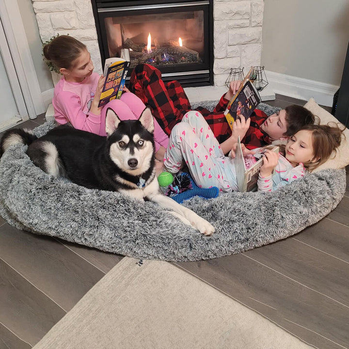 Luxuriöses Supergroßes Bett für Menschen & Hunde. Ultimativer Schlafplatz für Familie & Haustier.