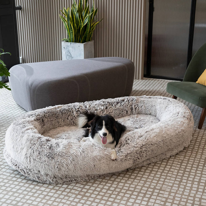 Großzügiges Familienbett, waschbar. Luxuriöses Supergroßes Bett für Haustiere und ihre Menschen.
