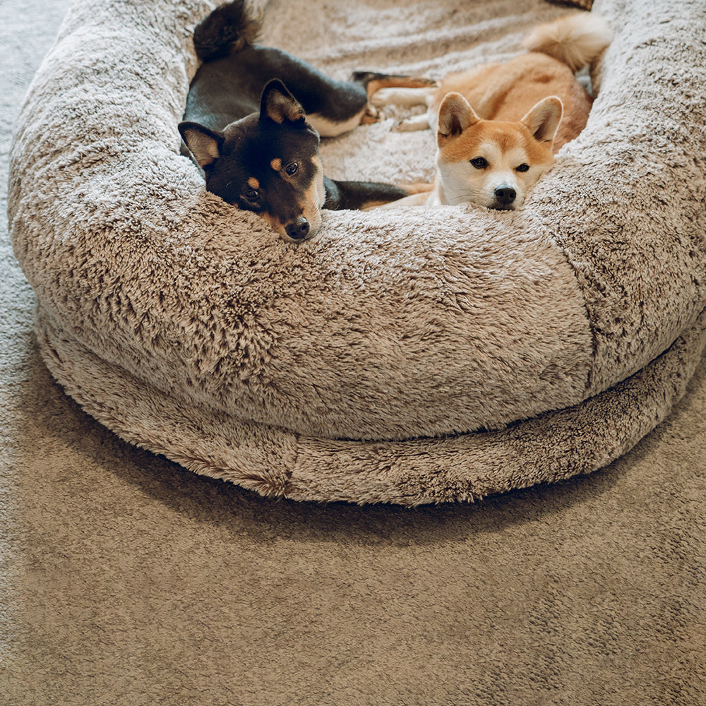 Luxuriöses & supergroßes Schlafsofa für Haustiere und Menschen. Waschbares Kuschelbett für Zuhause.