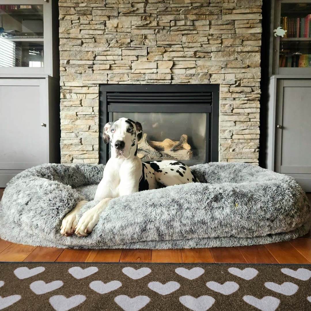 Luxuriöses Supergroßes Bett: Familien- & Hundebett für gemeinsamen Tiefschlaf. Waschbar & bequem.