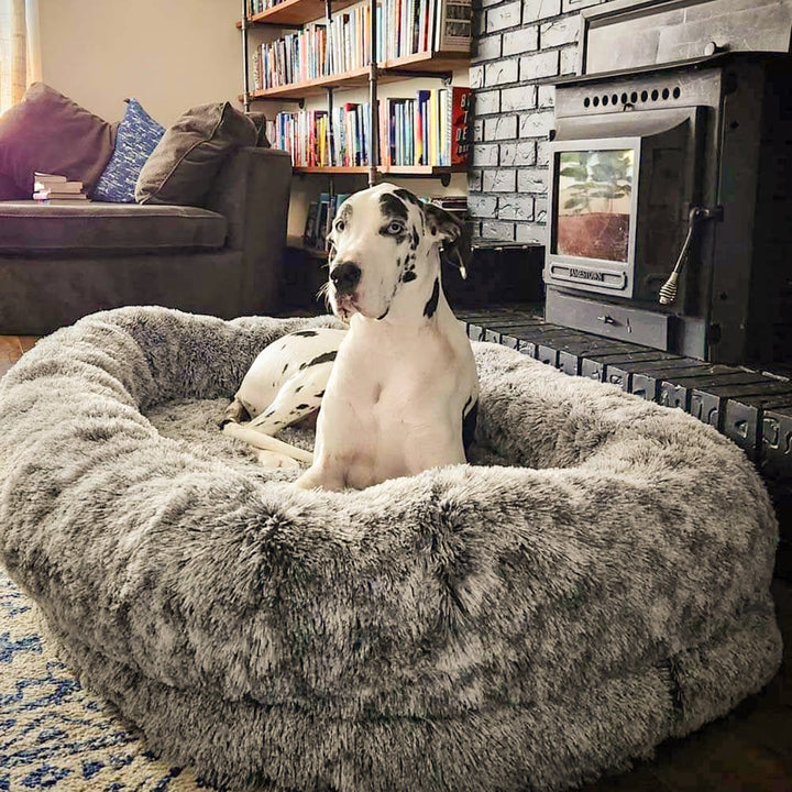 Dieses luxuriöse Kuschelbett bietet Hunden & Menschen höchsten Schlafkomfort. Groß & orthopädisch.