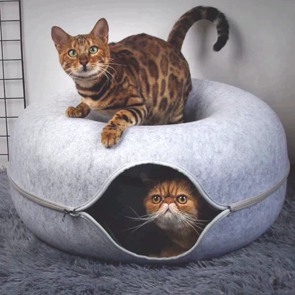 Luxuriöses WhiskerNest Katzenbett und Spielhaus aus Plüsch für Entspannung und Spaß Ihrer Katze.