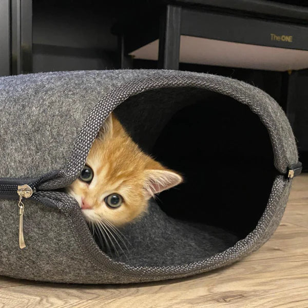 Plüschiges Katzen-Spielhaus mit weichem Innenraum bietet Spaß und Geborgenheit für Ihre Katze.