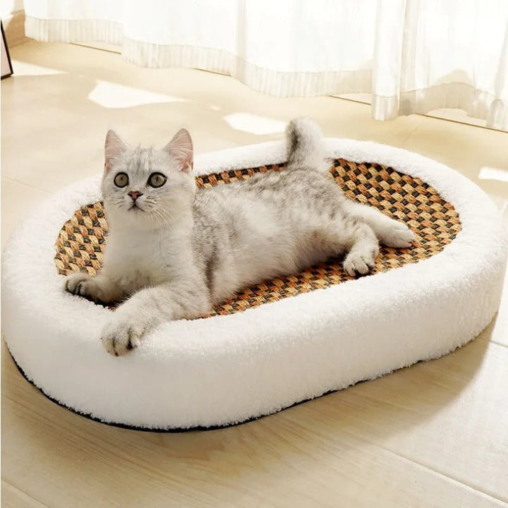 Luxus Katzenbett mit integrierter Kratzplatte für hohen Tierkomfort. Ideal für große Katzen.