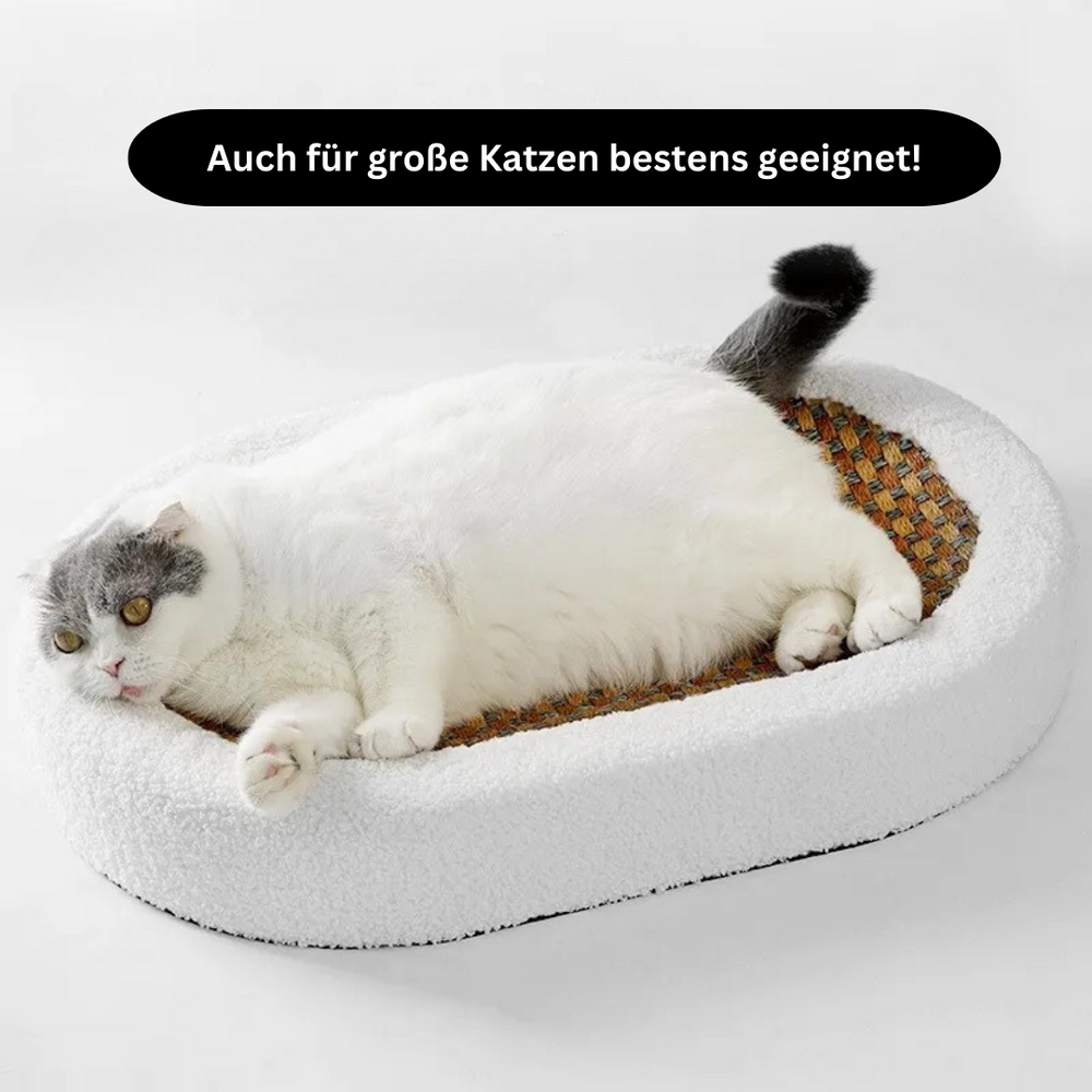 Weiches Katzenmöbel: Premium Haustierbett mit robuster Kratzplatte für gemütlichen Schlaf & Krallenpflege.